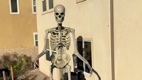 Großes-Skelett-Isoliert-In-Einem-Hinterhof-Setup-Für-Halloween,-Das-Gruselig-Aussieht