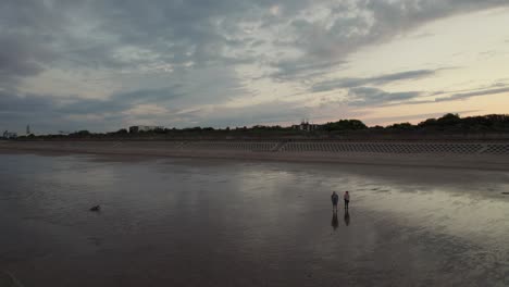 Das-Video-Von-Oben-Fängt-Den-Reiz-Eines-Strandes-Bei-Sonnenuntergang-Ein-Und-Zeigt-Den-Schimmernden,-Nassen-Sand,-Das-In-Lila--Und-Rosatönen-Geschmückte-Meer-Sowie-Menschen-Und-Ihren-Hund-Als-Silhouette