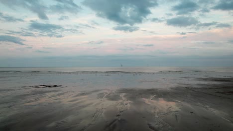 Aerial-video-displays-the-beauty-of-a-tranquil-sunset-beach,-highlighted-by-its-reflective,-damp-sand,-a-sea-dressed-in-purple-and-pink,-and-the-silhouettes-of-people-walking-their-dog