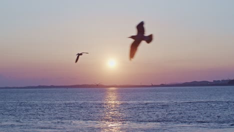 Schöner,-Wunderschöner,-Malerischer,-Ruhiger-Und-Bezaubernder-Sonnenuntergang-Vor-Dem-Meer-Mit-Horizont,-Wolken,-Sonne,-Möwen,-Vögeln,-Wasser-Und-Wellen,-Weitwinkel-Panoramablick-Auf-Die-Landschaft