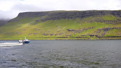 Faroese-boat-with-flag-cruising-across-the-ocean-next-to-salmon-farm-in-Vagar,-Faroe-Islands