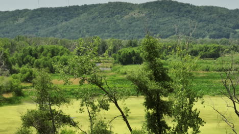 Trempealeau-National-Wildlife-Refuge-With-Green-Mountain-In-The-Background