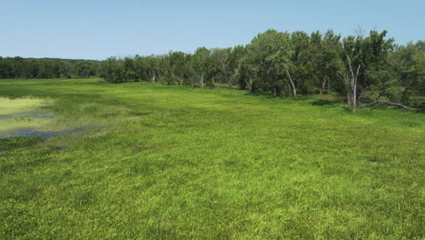 Lush-Green-Grassland,-River-And-Forest-At-Upper-Mississippi-River---Beef-Slough-In-Summer-In-Wisconsin,-USA