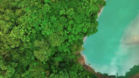 Aerial-top-down-show-showing-green-lake-water-and-forest-trees-growing-on-hill-in-Taiwan