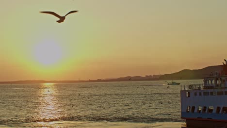 Nice,-beautiful,-picturesque,-calm-and-charming-sunset-afterglow-in-front-of-the-sea-with-horizon,-clouds,-sun,-seagulls,-ship,-ferry,-birds-water-and-waves-wide-angle-landscape-panoramic-view
