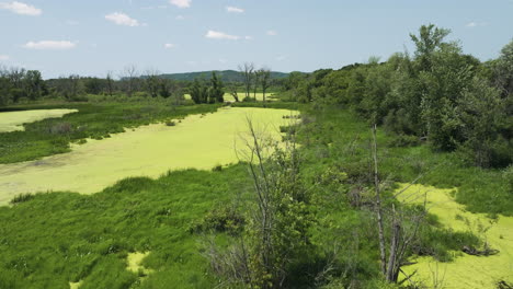 Wetland-Covered-By-Green-Algae-In-Trempealeau-National-Wildlife-Refuge