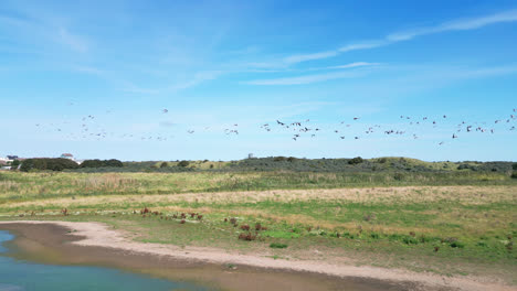 Aerial-video-footage-provides-a-glimpse-of-the-mesmerizing-saltwater-marshlands-along-the-Lincolnshire-coast,-with-seabirds-in-flight-and-on-the-lagoons-and-inland-lakes