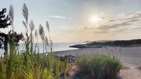 Ruhige-Strandlandschaft-Bei-Sonnenuntergang-Und-Eine-Brise-Wind-Im-Sommer