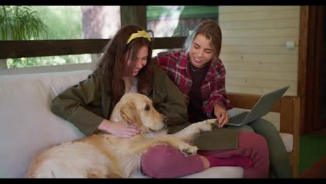 Two-girls-playing-with-a-dog.-A-girl-in-a-red-shirt-and-a-girl-in-a-green-jacket-are-stroking-a-light-colored-dog,-one-of-the-girls-has-a-laptop-on-their-lap.-Gatherings-in-nature-in-the-gazebo