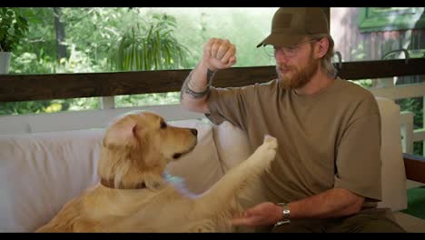 A-blond-guy-with-a-beard-and-glasses-in-a-light-brown-T-shirt-and-cap-is-training-and-teaching-a-new-team-a-large-light-colored-dog-on-a-sofa-in-a-gazebo-in-nature.-The-dog-receives-a-reward-in-the-form-of-a-treat-for-the-executed-command