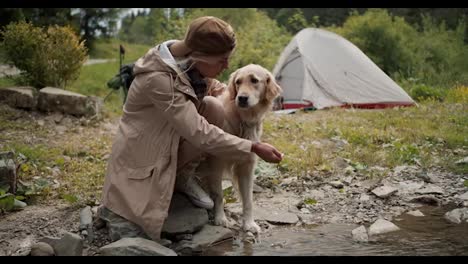 A-blonde-girl-in-hiking-clothes-stands-with-her-light-colored-dog-near-a-mountain-river-and-washes-her-dog-against-the-backdrop-of-a-tent-and-a-green-forest.-Hiking-with-your-pets