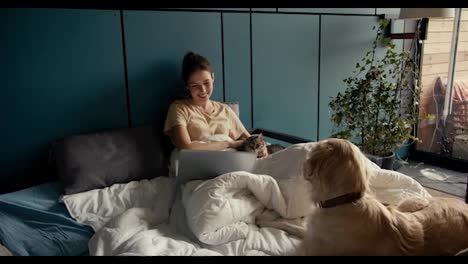 A-brunette-girl-is-lying-on-the-bed-near-her-dog,-stroking-her-cat-and-looking-at-the-screen-of-a-white-laptop.-Holidays-at-home-with-pets