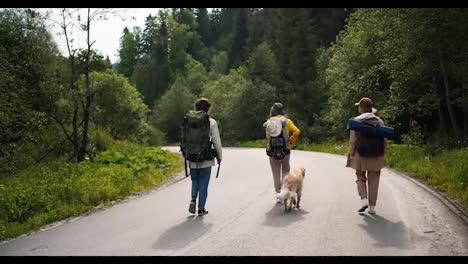 3-hikers-in-special-clothes-and-with-big-bags-walk-along-the-road-along-the-forest-with-their-dog