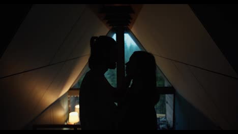 Happy-silhouettes-in-a-house-with-a-triangular-roof,-a-guy-and-a-girl-are-hugging-and-standing-close-to-each-other-in-a-dark-room