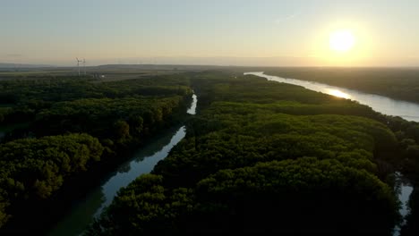 Floodplain-Landscape,-Danube-Wetlands,-Donau-Auen-National-Park,-Lower-Austria---aerial-drone-shot