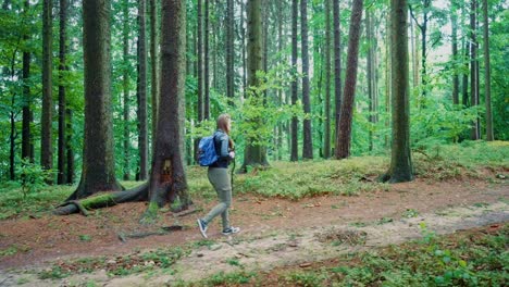 Following-shot-of-a-brunette-woman-with-blue-backpack-while-walking-through-a-dense-forest-at-daytime