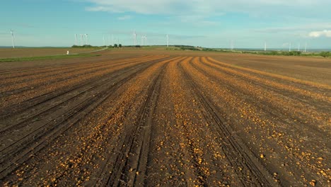 Farmland-With-Pumpkin-Field-After-Harvest-Season