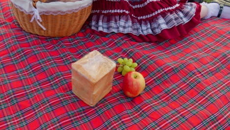 Woman-pulls-fruit-and-bread-out-from-basket-placing-onto-red-plaid-blanket-for-picnic