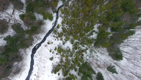 Michigan-Winter-Forest-River-Aerial-Top-Down