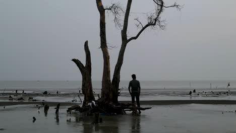 cinematic-man-thinking-in-solitude-as-the-world-expands-around-him-in-a-deforested-coastline