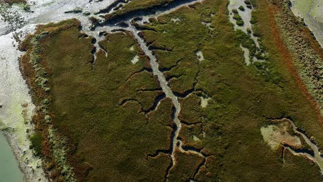 Aerial-view-of-Salt-Marshes-with-geometrics-forms-at-The-Natural-Reserve-Of-Lilleau-Des-Niges-On-The-Ile-De-Ré-Island
