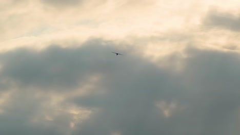 Silhouette-Eines-Raubvogels,-Der-Hoch-In-Den-Dramatischen-Sonnenaufgangshimmel-Fliegt