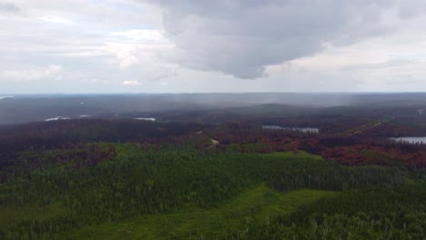 Vast-Canadian-wilderness,-extensive-wildfire-damage.-Aerial-panorama