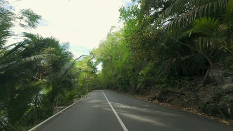 Driving-on-amazing-road-between-forest-and-lush-vegetation,-rocks-and-trees-on-both-road-sides,-Mahe-Seychelles-6