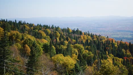Filmischer-Blick-Auf-Die-Herbstblätter,-Die-Im-Wald-Auf-Einem-Berg-Ihre-Farben-ändern