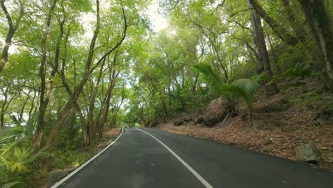 Driving-on-amazing-road-between-forest-and-lush-vegetation,-rocks-and-trees-on-both-road-sides,-Mahe-Seychelles-5