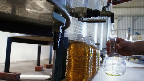 Techniker-Untersucht-Olivenöl