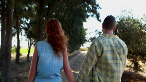 Rear-view-of-couple-walking-hand-in-hand-4k