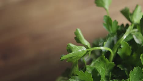 Topshot-of-a-bunch-of-flat-leaf-parsley