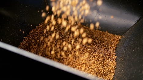 Wheat-pouring-in-wheat-crusher-machine-4k