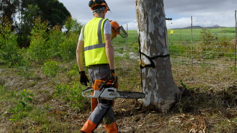 Lumberjacks-standing-near-marked-tree-4k