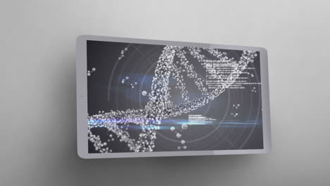 DNA-Modell-Auf-Dem-Digitalen-Tablet-Bildschirm-4k