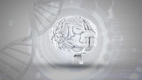 Menschliches-Gehirn,-DNA-Helix-Und-Zahlen