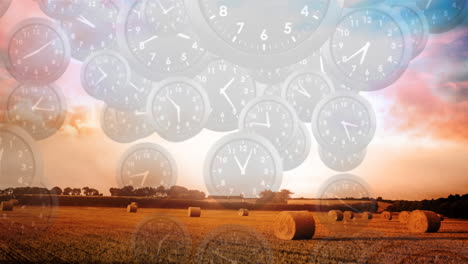 Farm-field-with-clocks