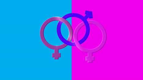 Drei-Verbundene-Weibliche-Und-Männliche-Symbole-Auf-Rosa-Und-Blauem-Hintergrund
