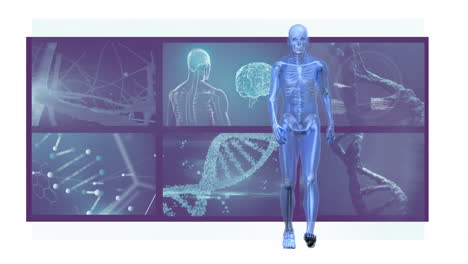 Animation-of-3d-human-model-walking-man-with-scan-screens-in-background