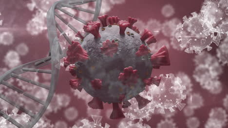 Animación-De-Células-Macro-Coronavirus-Covid-19-Que-Se-Extienden-Sobre-El-Adn