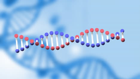 Animation-Von-DNA-Stämmen,-Die-Sich-Auf-Blauem-Hintergrund-Drehen