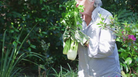 Senior-caucasian-woman-in-garden-wearing-gloves