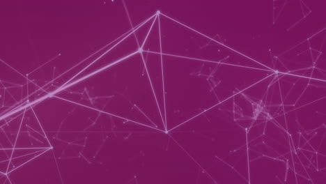Animation-of-white-lines-of-network-of-connections-over-purple-background