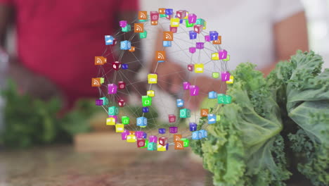Globus-Digitaler-Symbole-Gegen-Afroamerikanisches-Seniorenpaar,-Das-Gemüse-In-Der-Küche-Hackt