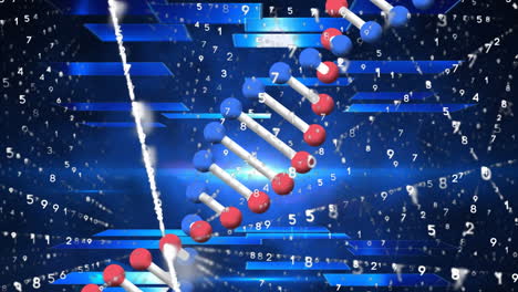 Animation-Von-DNA-Strängen-Und-Zahlen-Mit-Netzwerk-Von-Verbindungen