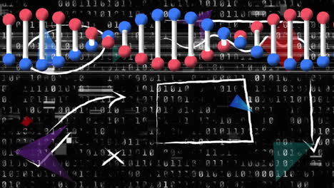 Animation-of-dna-strand-spinning-and-binary-coding,-data-processing