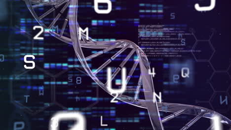 Animation-of-floating-numbers-over-spinning-dna-strain-on-black-background