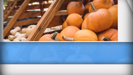 Animation-of-blue-and-white-shapes-over-pumpkins-on-shelves