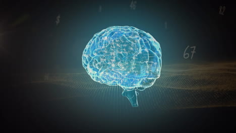 Menschliches-Gehirn-Dreht-Sich-Gegen-Mehrere-Zahlen-Und-Digitale-Wellen-Auf-Blauem-Hintergrund